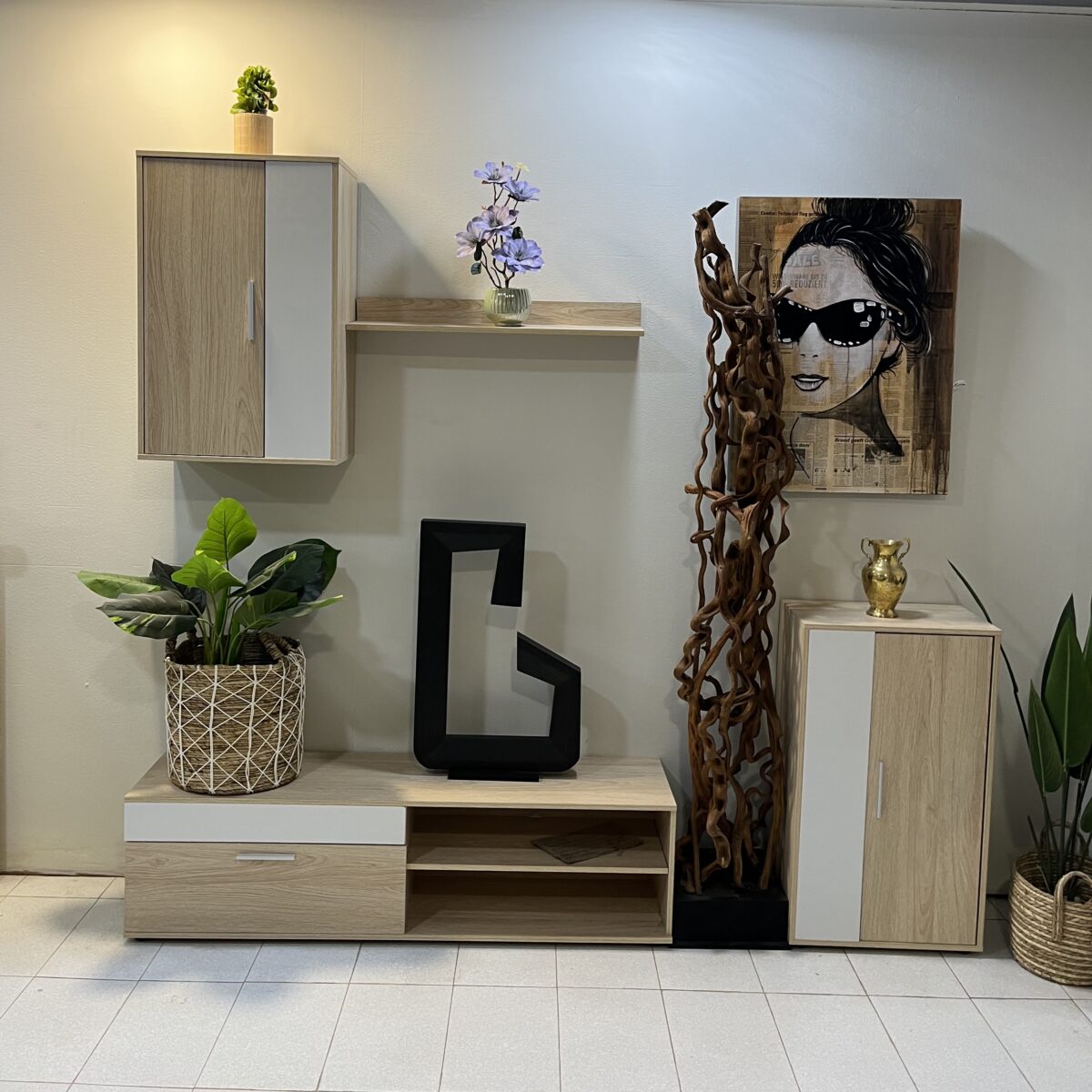 Conjunto muebles de salón Eco