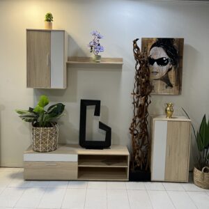 Conjunto muebles de salón Eco