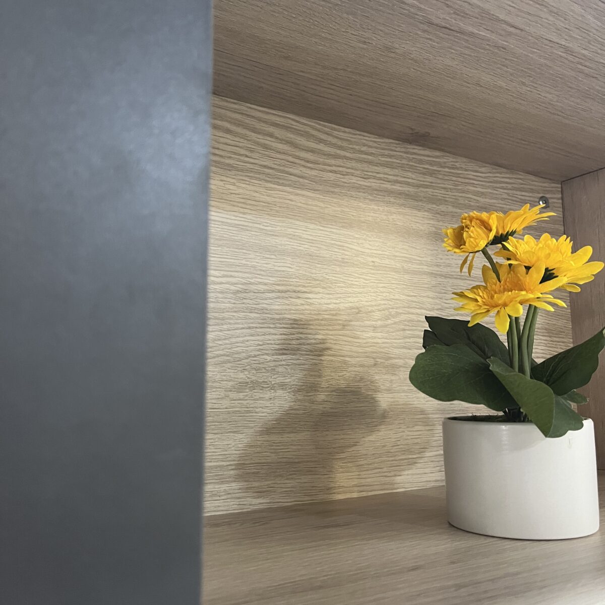 Conjunto de salón Boom. - Imagen 3